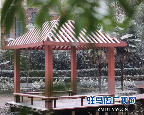 天中雪景 美不胜收