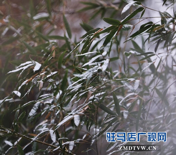 天中雪景 美不胜收