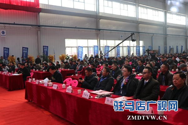 贺振华：强力推进“三大改造” 打造产业发展发达之城
