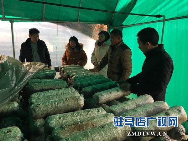 泌阳县高邑乡实行党员+基地帮带贫困户
