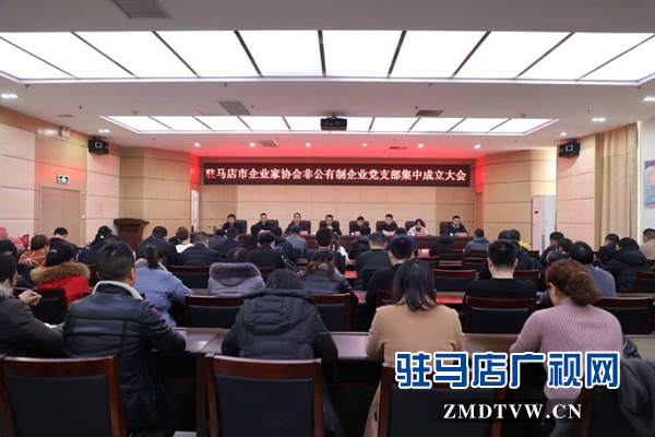 驻马店企业家协会召开非公有制企业党支部集中成立大会