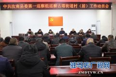 汝南县古塔街道“政治体检”到村组