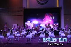 驻马店市第三十三小学举行“庆元旦暨社团成果汇报演出”活动