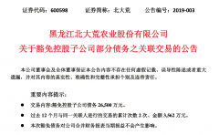 两子公司严重资不抵债 北大荒豁免其2.65亿债务