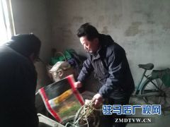 确山县卫计委慰问贫困户