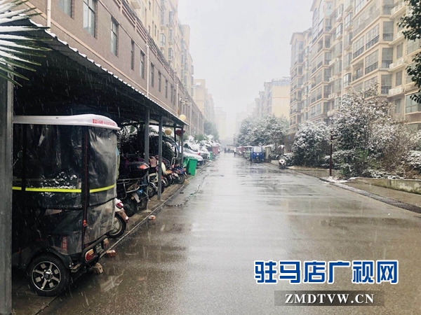 驻马店市迎来2019年第一场降雪