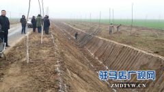 汝南县三桥镇利用冬闲 积极实施国土绿化