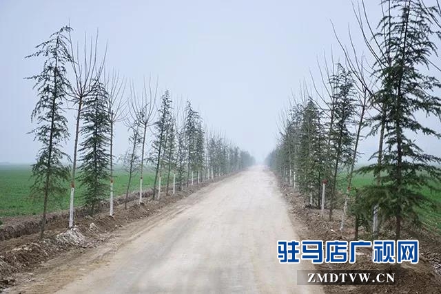 上蔡县多措并举推进国土绿化提速行动 