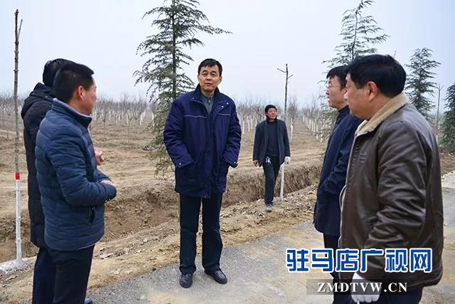 上蔡县多措并举推进国土绿化提速行动 
