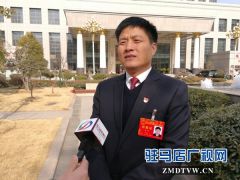 驻马店代表团热议陈润儿省长所作工作报告