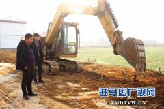 汝南县古塔街道国土绿化提升行动掀高潮