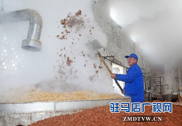 朗陵罐酒产销两旺 全力备足春节市场