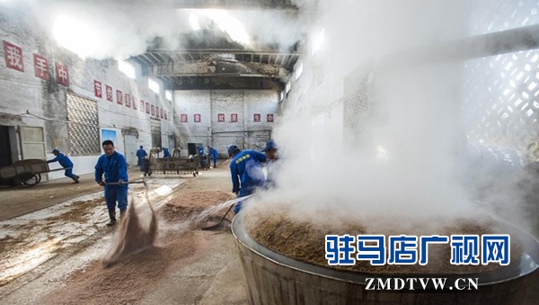 朗陵罐酒产销两旺 全力备足春节市场