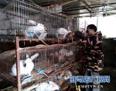 身残志坚树榜样 脱贫致富美名扬