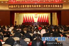 共青团驻马店市第三次代表大会预备会议召开