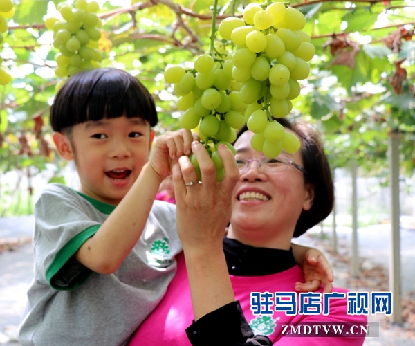 杰美葡萄庄园打造亲子教育基地 让孩子体验农作的乐趣