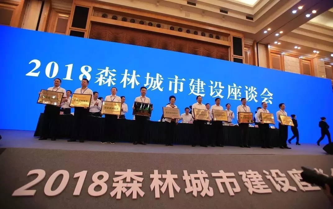 喜讯！盘点2018：晒晒咱大驻马的成绩单！
