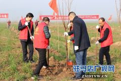 驻马店市城乡一体化示范区干部职开展春季全民义务植树活动
