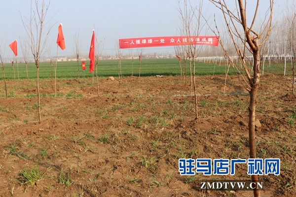  驻马店市城乡一体化示范区干部职开展春季全民义务植树活动