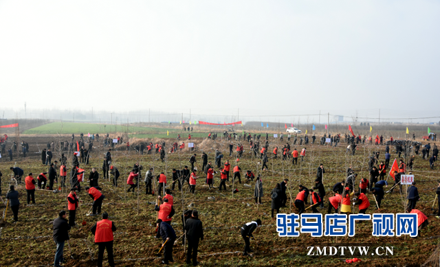 泌阳县2019年春季义务植树活动启动