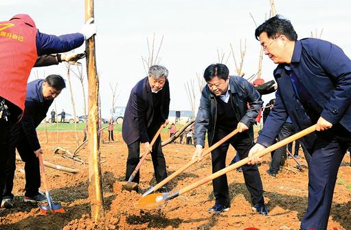 驻马店市四大班子领导带头植树 掀起造林绿化新高潮