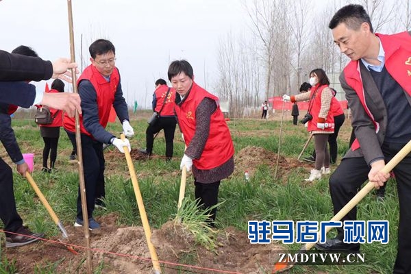 团市委开展“绿风尚”春季义务植树活动