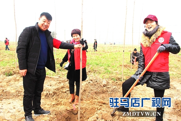  汝南县古塔街道开展义务植树活动