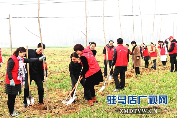  汝南县古塔街道开展义务植树活动