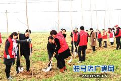  汝南县古塔街道开展义务植树活动