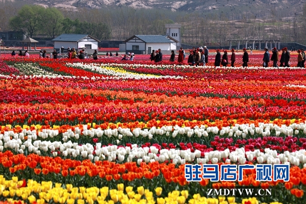 微信图片_20190310140838.jpg