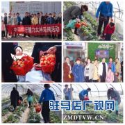 中原银行驻马店新蔡支行成功举办“魅力女神采摘活动”