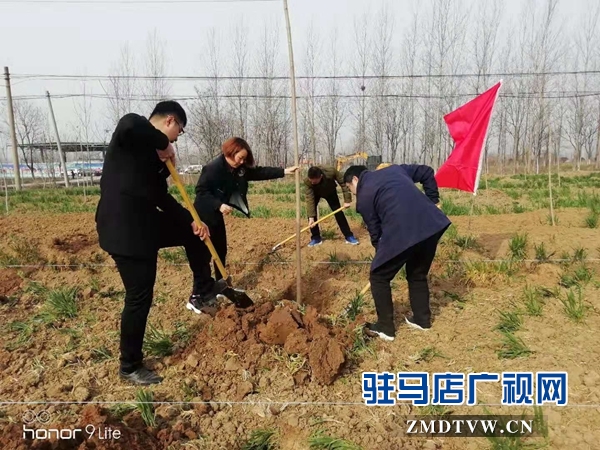 汝南县三桥镇党员干部参加义务植树活动