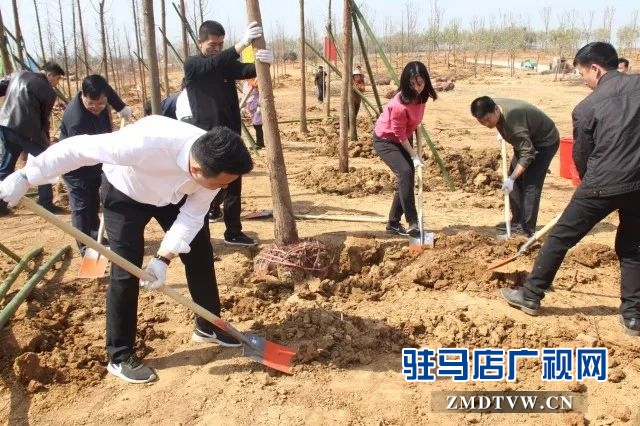  省派第一书记集体为上蔡县添新绿