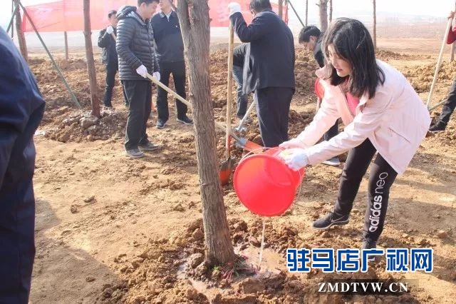  省派第一书记集体为上蔡县添新绿
