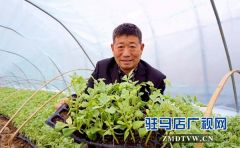 正阳县“西瓜大王”戴子星助力脱贫攻坚