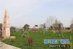 泌阳县春水镇强力推进绿化工作