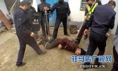 平舆警方成功处置一起精神病人肇事暴力事件