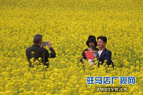 驻马店鲁湾小镇首届千亩油菜花节开幕  