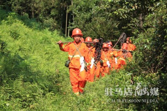 驻马店市组织收听收看全国森林草原防灭火电视电话会议