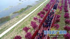 知否 知否 西平海棠“绿肥红瘦”