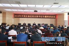 驻马店经济开发区落实“五个基本”，抓实党支部基本单元