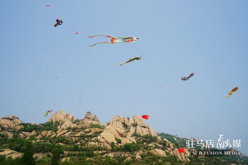 1554644461787623.jpg DSC03681.JPG