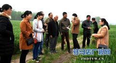 正阳：新型职业农民培训跟踪问效到田头