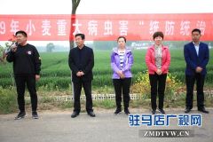 正阳县对小麦重大病虫害进行统防统治
