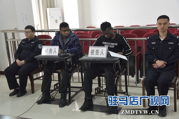 泌阳县法院公开审理一起涉外诈骗案