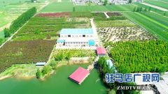 鲁太平：淮北枳树也能结出甜果子
