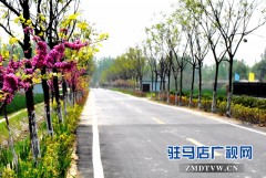 正阳：国土绿化为乡村振兴增“颜值”