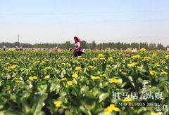 正阳、泌阳、汝南三个县实现脱贫摘帽