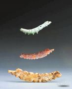 河南巩义出土五千年前牙雕蚕  见证丝绸之源