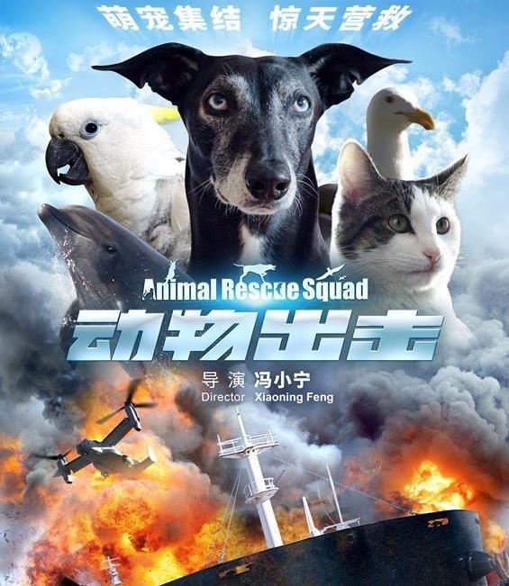 多部佳片抢占五一档